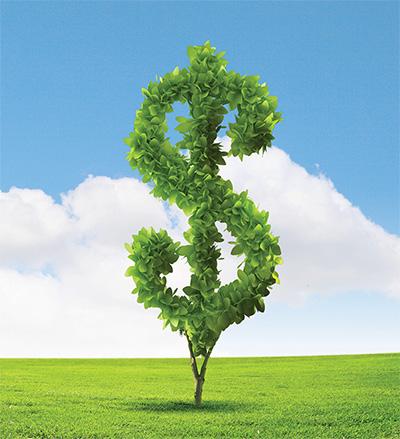 Money Tree