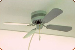 ceilingFan.jpg